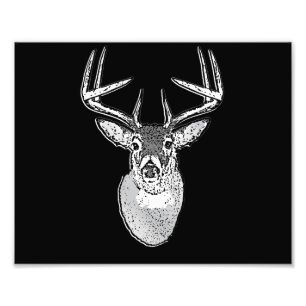 Buck on Black design White Tail Deal Foto Afdruk