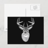 Buck on Black White Tail Deer head Briefkaart (Voorkant / Achterkant)