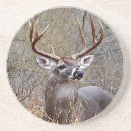 Buck Onderzetter (Voorkant)
