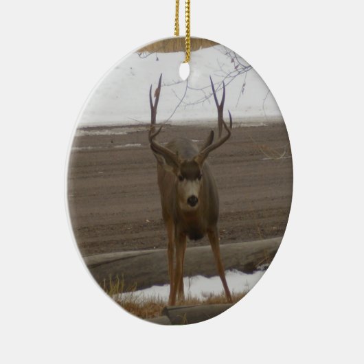 Buck Ornament (Rechts)