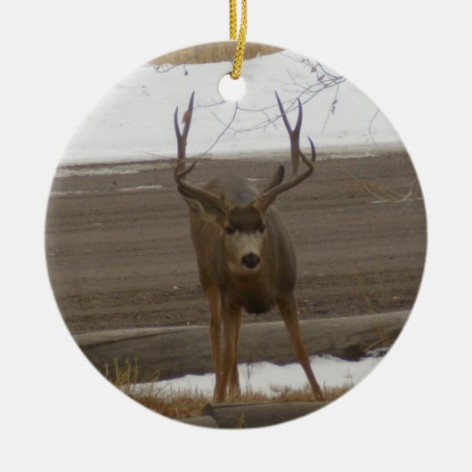 Buck Ornament (Voorkant)