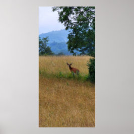 Buck Permanent in een veld Poster