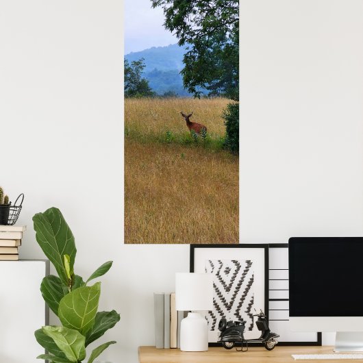 Buck Permanent in een veld Poster (Thuiskantoor)