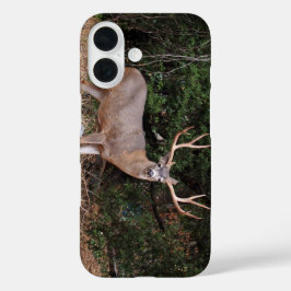 Buck Phone Case