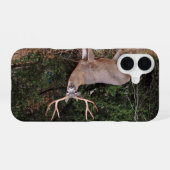 Buck Phone Case iPhone 16 Hoesje (Achterkant horizontaal)