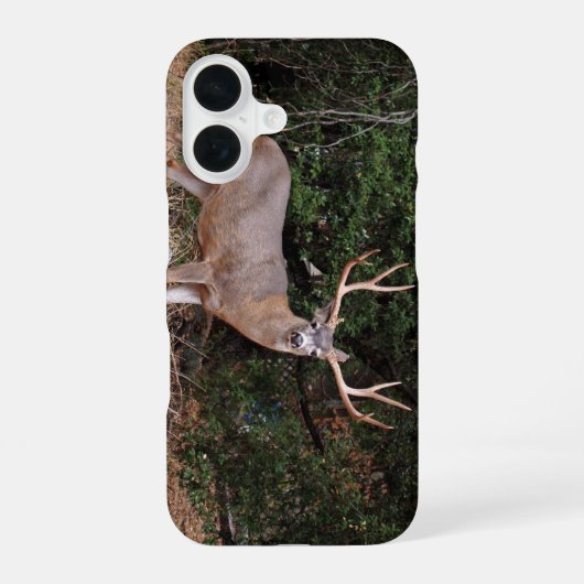 Buck Phone Case iPhone 16 Hoesje (Achterkant)