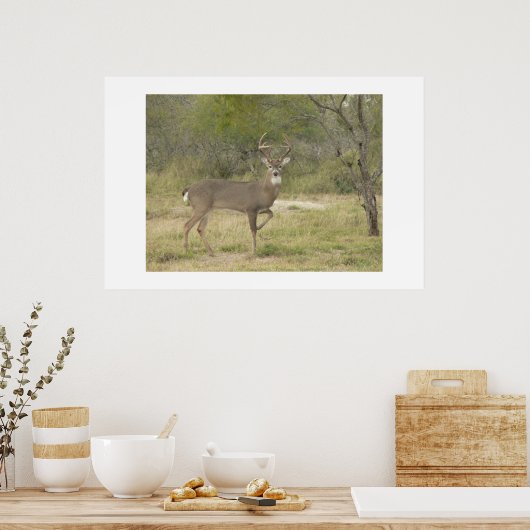 Buck. Poster (Keuken)