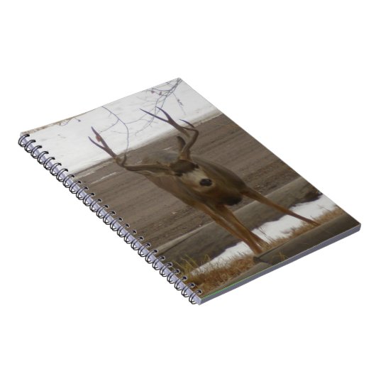 Buck Spiral Notitieboek (Rechterzijde)