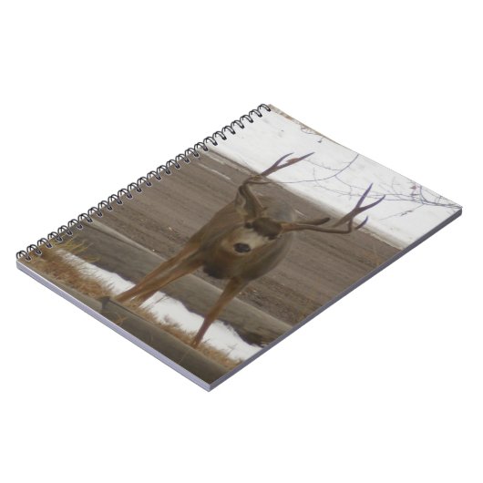 Buck Spiral Notitieboek (Linkerzijde)