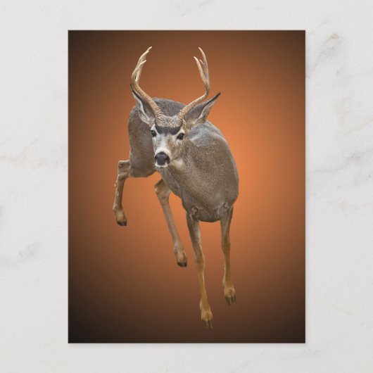 BUCK STOPS HIER BRIEFKAART (Voorkant)