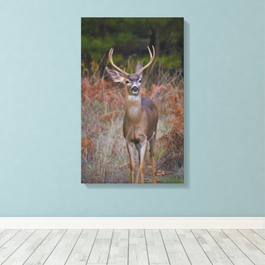 Buck stopt hier! canvas afdruk (Insitu (Houten vloer))