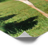 Buck van Angel Cher Poster (Hoek)