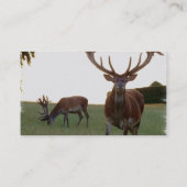 Buck Visitekaartjes (Achterkant)