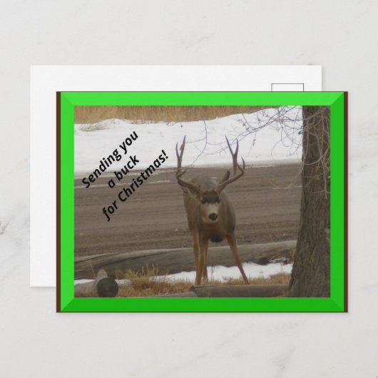 Buck voor kerstBriefkaart Briefkaart (Voorkant / Achterkant)