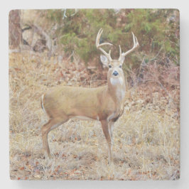 Buck Wild Deer Art Onderzetter