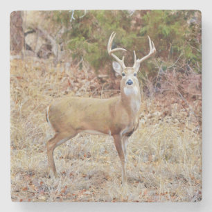 Buck Wild Deer Art Onderzetter