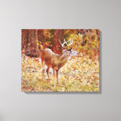Buck Wild Deer in Bossen Canvas Art Print (Voorkant)
