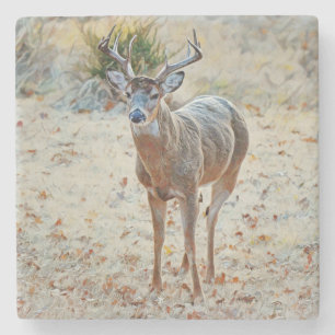 Buck Wild Deer Texas Stone Onderzetter