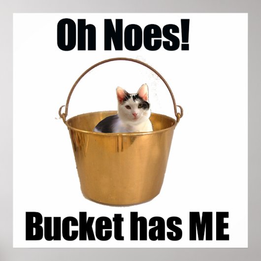 Bucket Cat Poster (Voorkant)