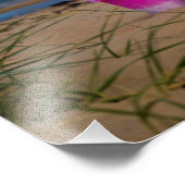 Bucket en spaak op Dornoch Beach Foto Afdruk (Hoek)