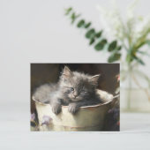 Bucket vol met Joy Sweet Grey Kitten Briefkaart (Staand voorkant)