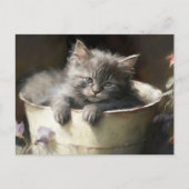Bucket vol met Joy Sweet Grey Kitten Briefkaart (Voorkant)