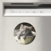 Bucket vol met Joy Sweet Grey Kitten Magneet (Insitu (Vaatwasser))