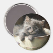 Bucket vol met Joy Sweet Grey Kitten Magneet (Voorkant / Achterkant)