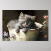 Bucket vol met Joy Sweet Grey Kitten Poster (Voorkant)