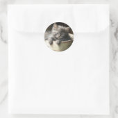 Bucket vol met Joy Sweet Grey Kitten Ronde Sticker (Tas)