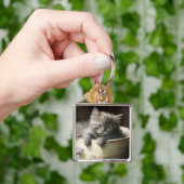 Bucket vol met Joy Sweet Grey Kitten Sleutelhanger (Hand)