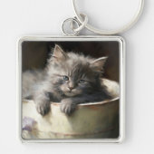 Bucket vol met Joy Sweet Grey Kitten Sleutelhanger (Voorkant)