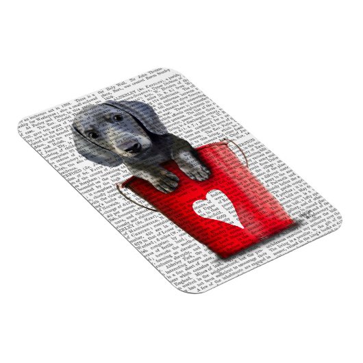 Buckets of Love Dachshund Puppy Magneet (Rechterzijde)