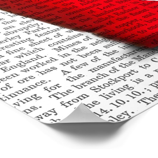 Buckets of Love Dachshund Puppy Poster (Hoek)