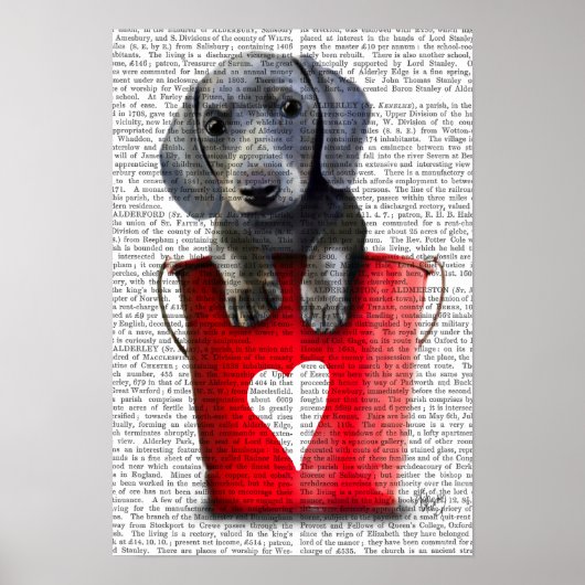 Buckets of Love Dachshund Puppy Poster (Voorkant)