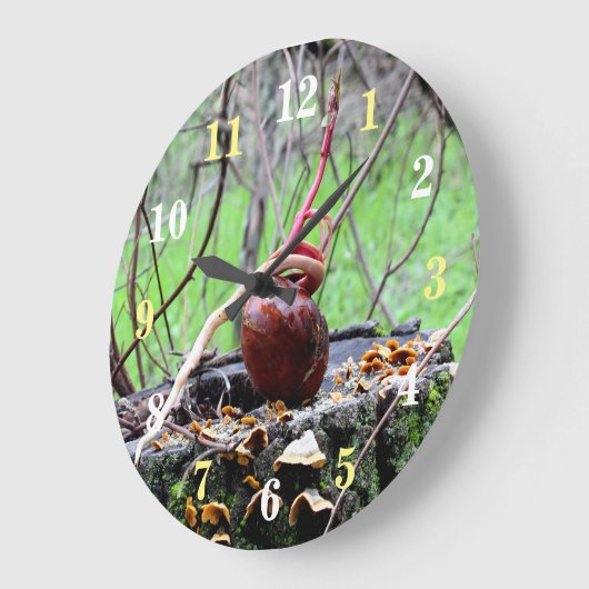 Buckeyboom ronde wandklok (Hoek)