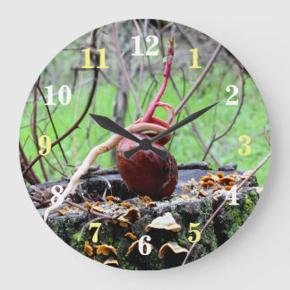 Buckeyboom ronde wandklok