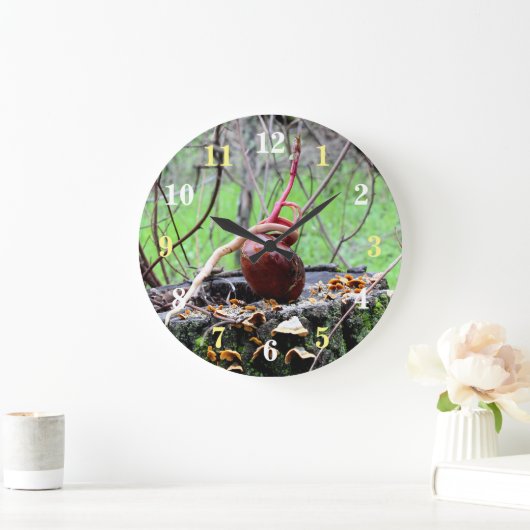 Buckeyboom ronde wandklok (Huis)