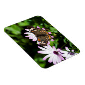 buckeyButterfly op Purple Flowers Magneet (Rechterzijde)