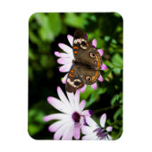 buckeyButterfly op Purple Flowers Magneet (Verticaal)