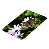 buckeyButterfly op Purple Flowers Magneet (Linkerzijde)