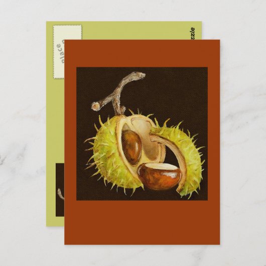 buckeye briefkaart (Voorkant / Achterkant)