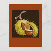 buckeye briefkaart (Voorkant)