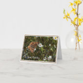 Buckeye Butterfly Birthday Wenskaart Kaart (Gele Bloem)
