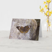 Buckeye Butterfly Kaart (Gele Bloem)