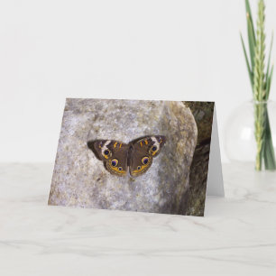 Buckeye Butterfly Kaart