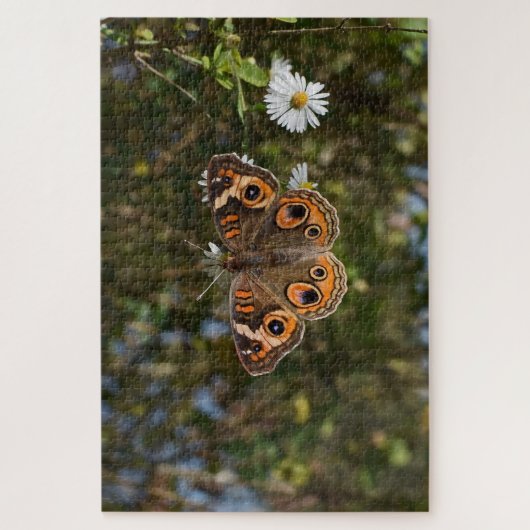 Buckeye Butterfly. Legpuzzel (Verticaal)