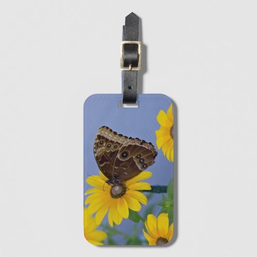 Buckeye Butterfly on Yellow Daisy Bagagelabel (Voorkant (verticaal))