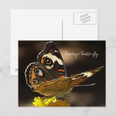 Buckeye Butterfly op een Gele Vloer met Tekst Briefkaart (Voorkant / Achterkant)