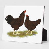 Buckeye Chickens Fotoplaat (Zijkant)